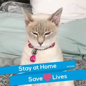 Meet your Posher, Diane